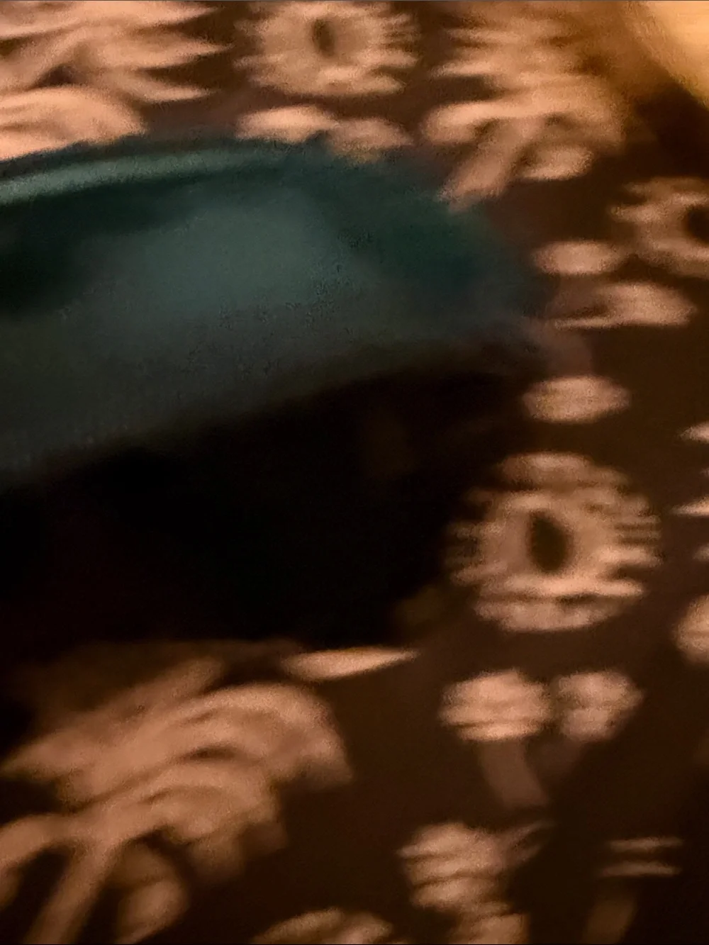 La Mer Glossy Teal Cosmetic Pouch